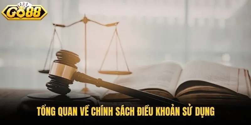Tổng quan về chính sách điều khoản sử dụng